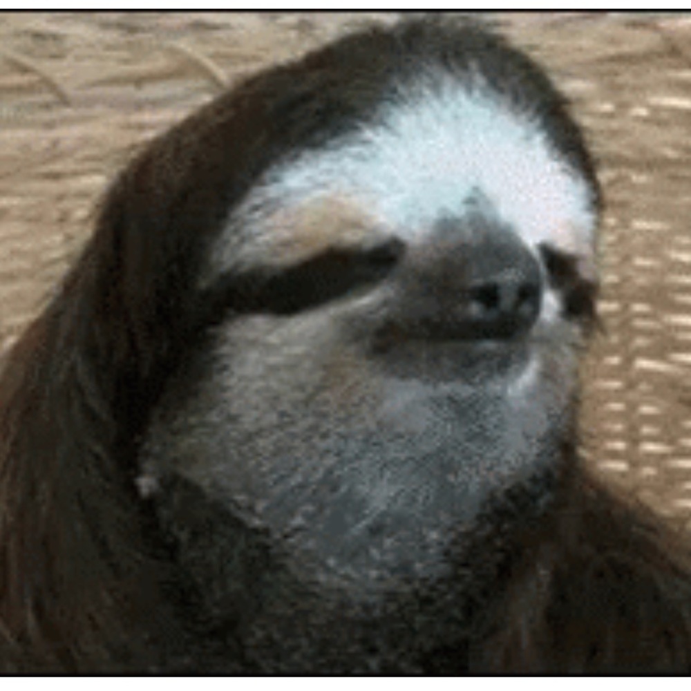 Meet your Posher, Shawn